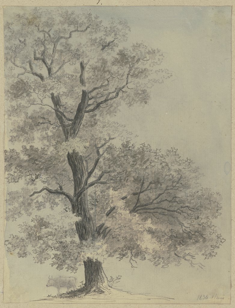 Rind unter einem Baum, Carl Theodor Reiffenstein