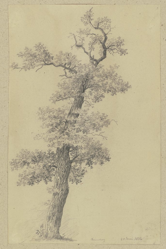 Baum, Carl Theodor Reiffenstein