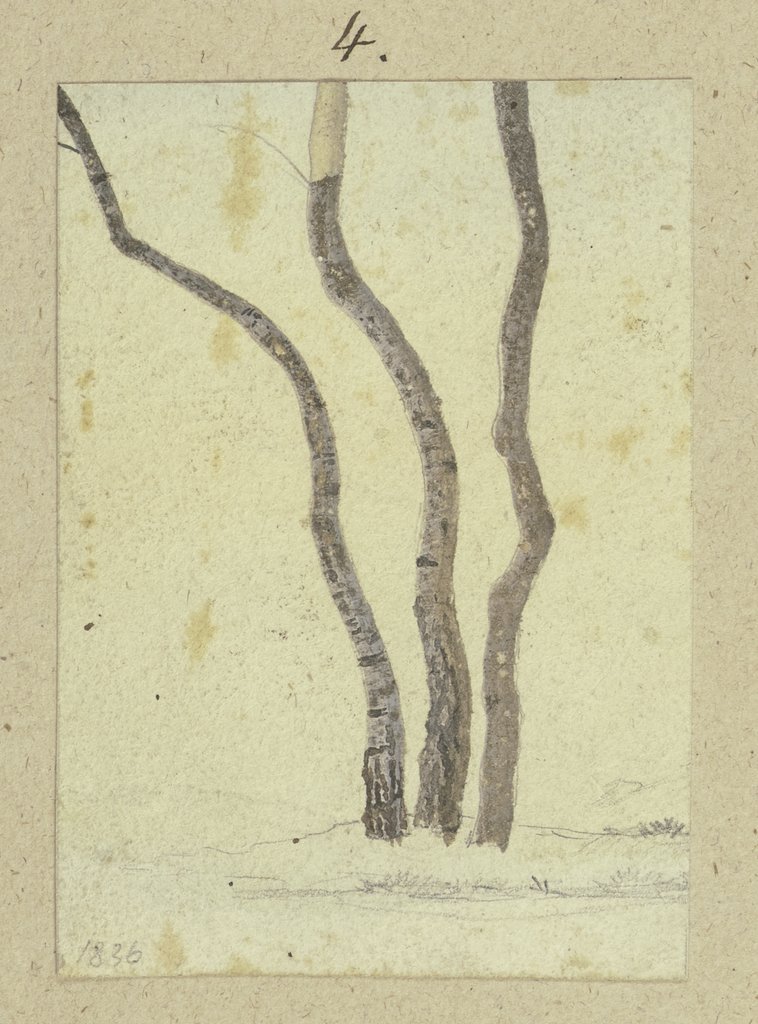 Drei Bäume, Carl Theodor Reiffenstein
