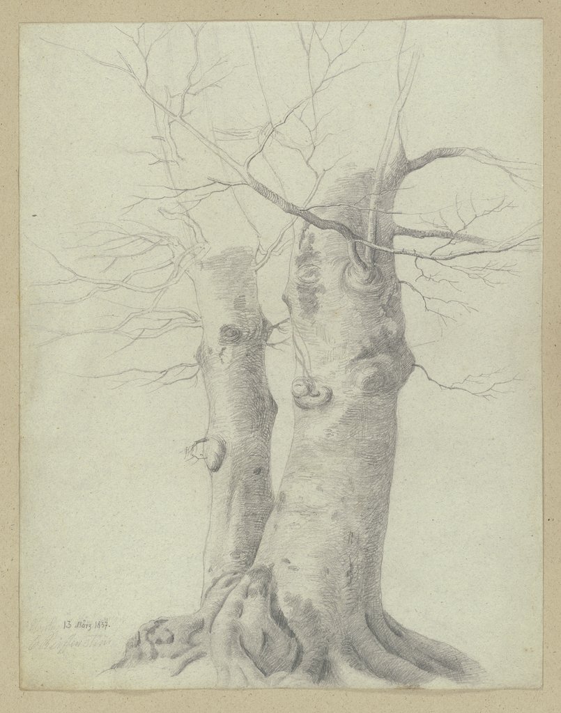 Zwei Bäume, Carl Theodor Reiffenstein