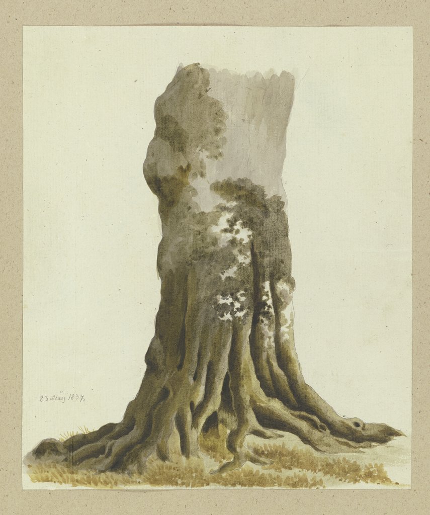 Tree trunk, Carl Theodor Reiffenstein