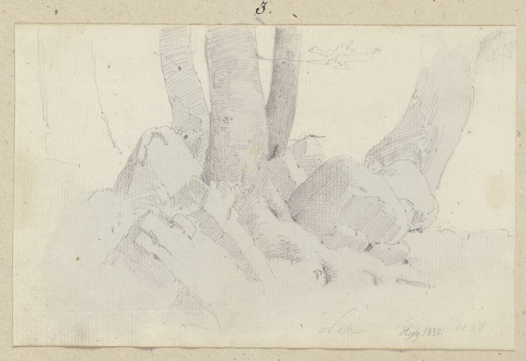 Aus einem Geröllhaufen hervorwachsende Baumstämme im Niederwald, Carl Theodor Reiffenstein