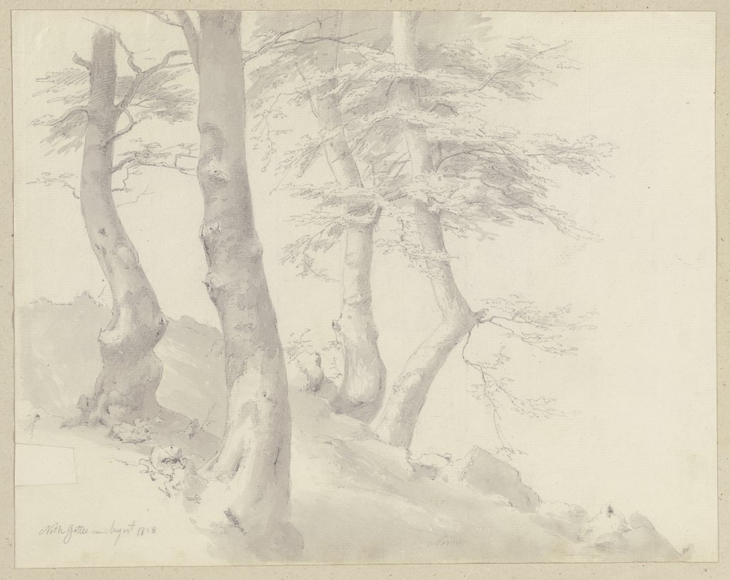 Bäume an einem Hang, Carl Theodor Reiffenstein