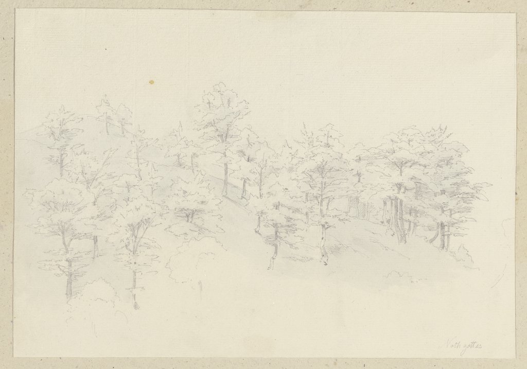 Arbored slope, Carl Theodor Reiffenstein