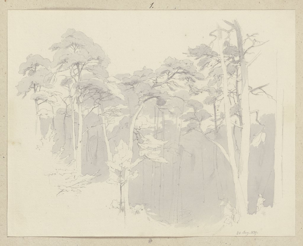 Blick in einen Wald, Carl Theodor Reiffenstein