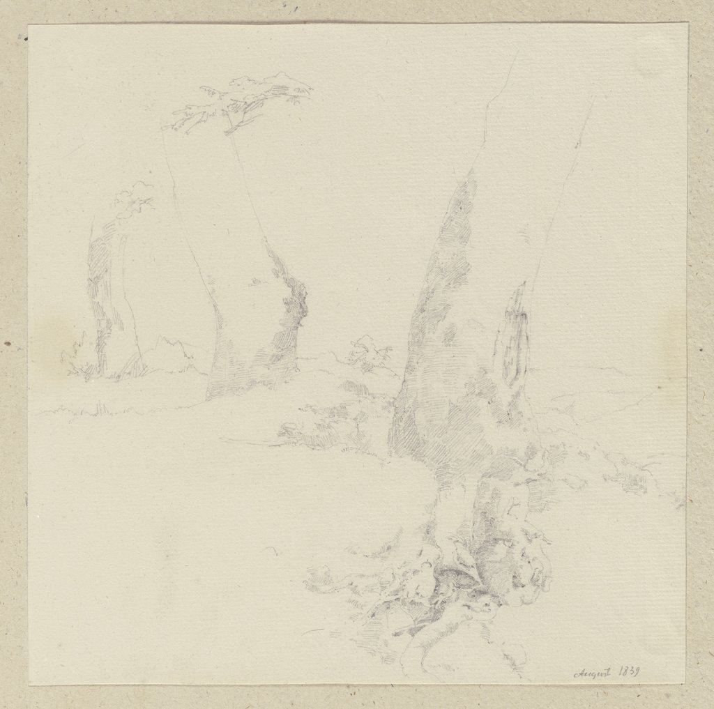 Three tree trunks, Carl Theodor Reiffenstein