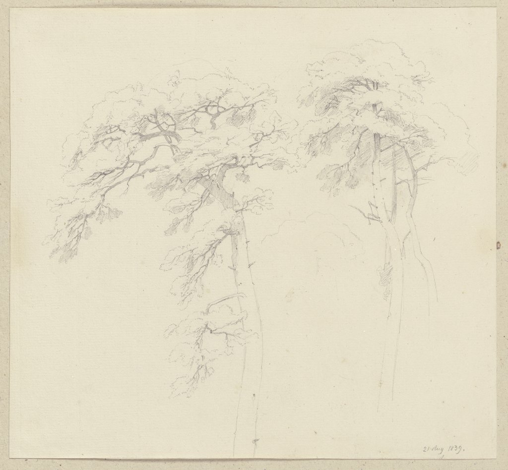 Three trees, Carl Theodor Reiffenstein