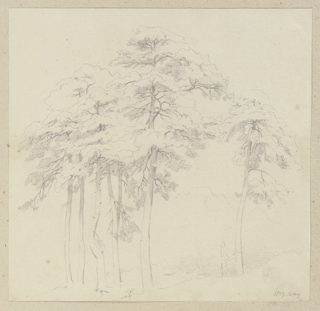 Group of trees, Carl Theodor Reiffenstein