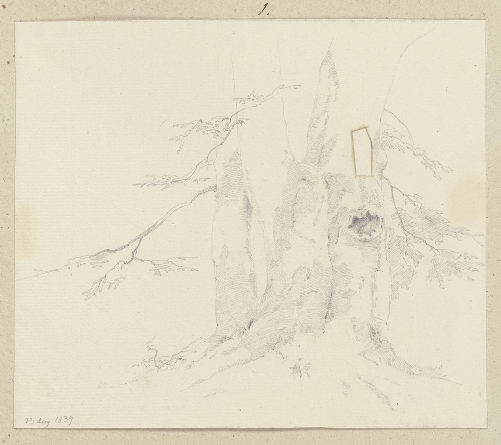 Crooked tree trunk, Carl Theodor Reiffenstein