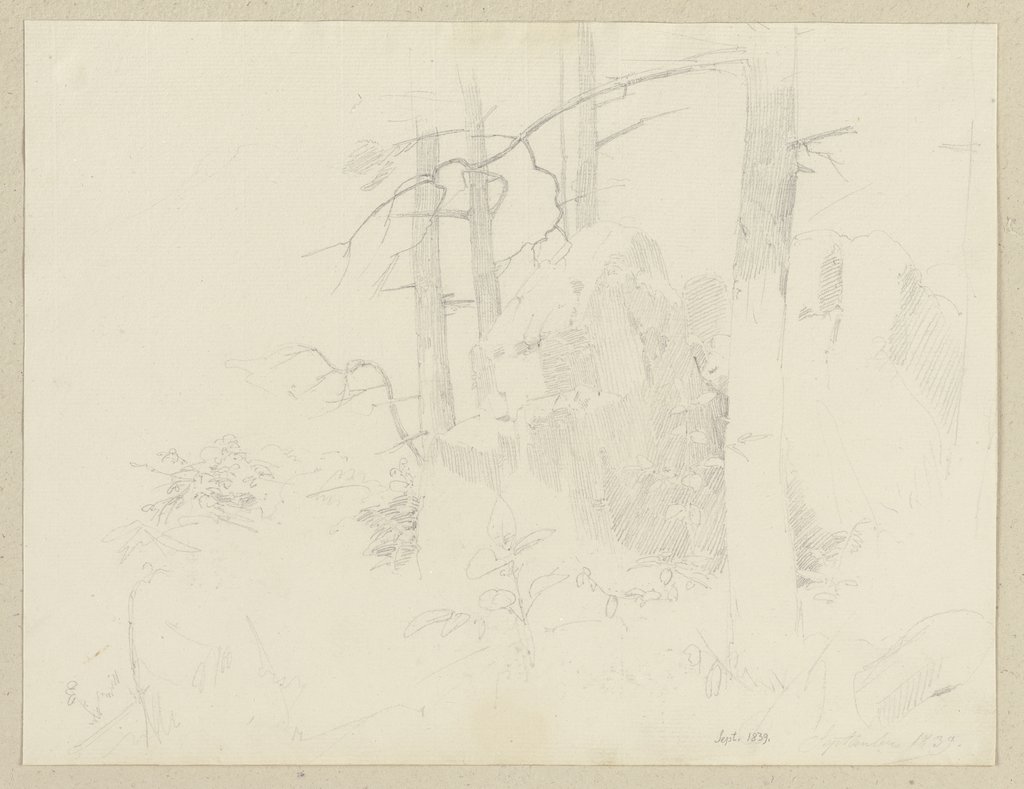 Forest landscape with rock, Carl Theodor Reiffenstein