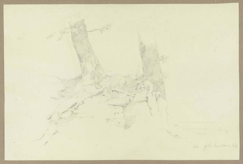 An einer Erdabbruchkante auf steinigem Grund wachsende Bäume, Carl Theodor Reiffenstein
