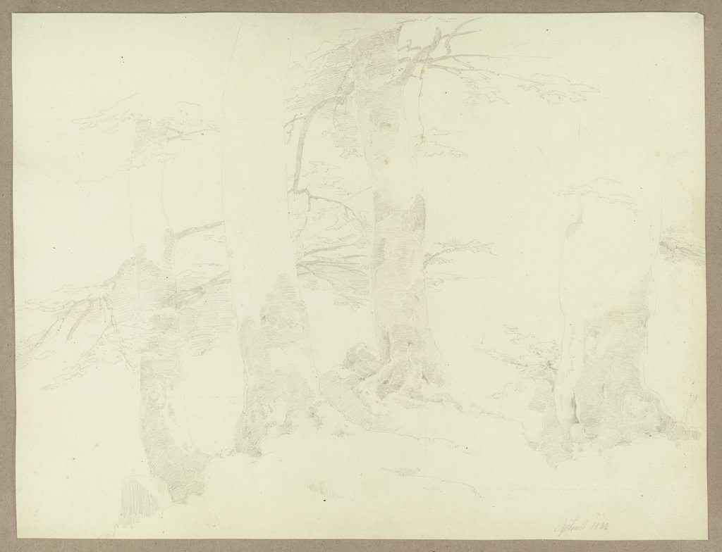 Four trees, Carl Theodor Reiffenstein
