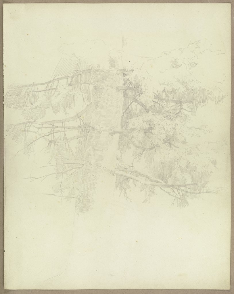 Tree trunk with branches, Carl Theodor Reiffenstein