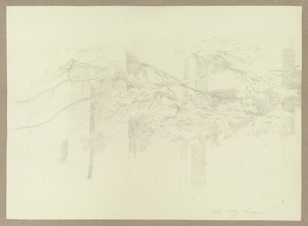 Bäume bei Rödelheim, Carl Theodor Reiffenstein