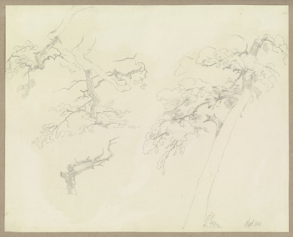 Geäst und ein schiefer Baum, an dessem Fuße eine sitzende Figur, Carl Theodor Reiffenstein