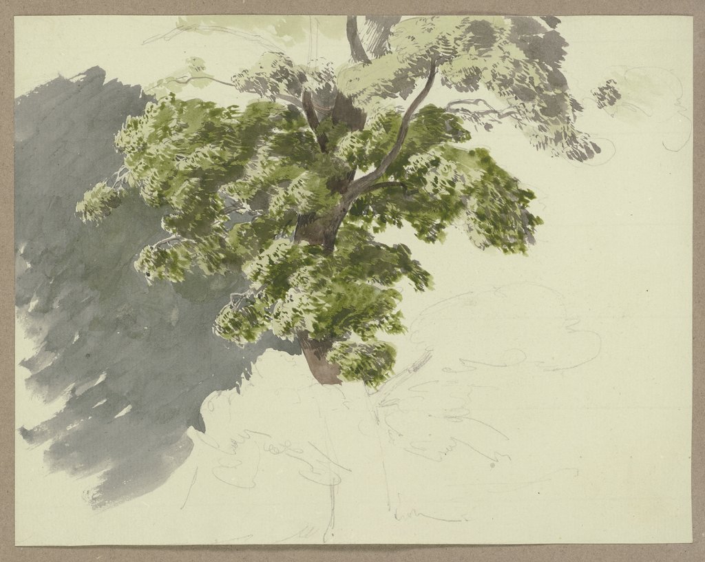 Baum im Wind, Carl Theodor Reiffenstein