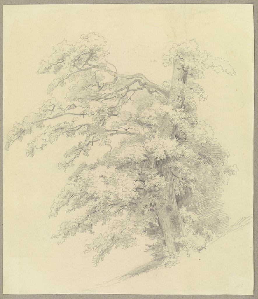 Baum, Carl Theodor Reiffenstein