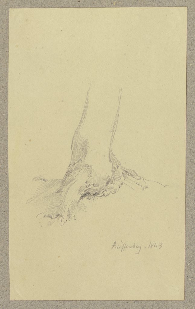 Baum bei Reifenberg, Carl Theodor Reiffenstein