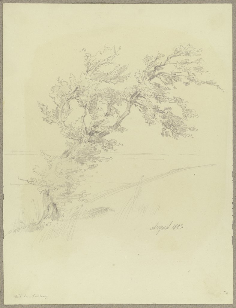 Tree on the Feldberg, Carl Theodor Reiffenstein