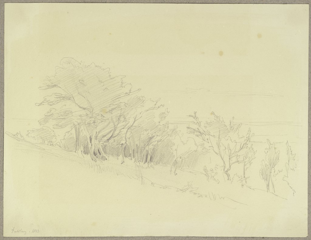 Trees at the Feldberg, Carl Theodor Reiffenstein