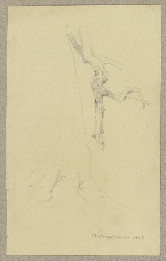 Kahler Baum bei Willingshausen, Carl Theodor Reiffenstein