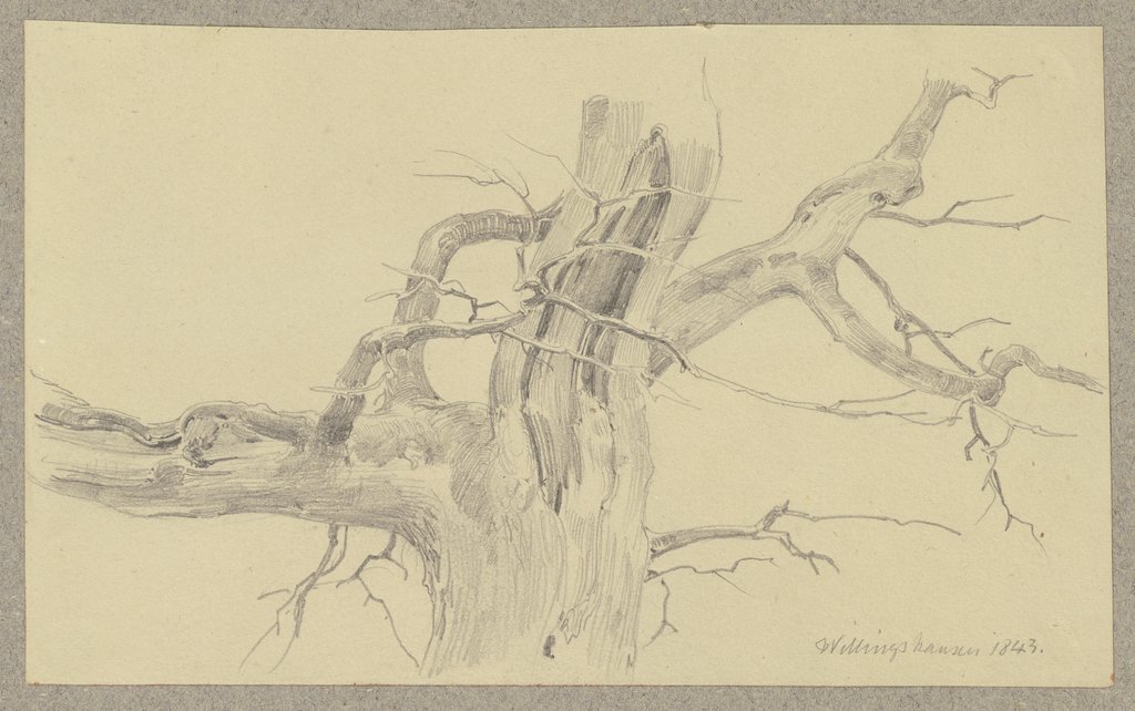 Abgestorbener Baum bei Willingshausen, Carl Theodor Reiffenstein