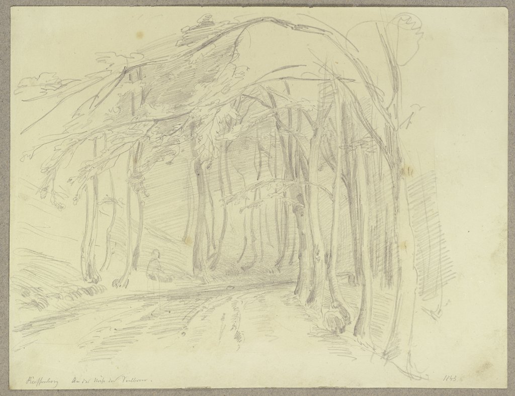 Waldweg in der Nähe des Sauerbrunnens bei Reifenberg, Carl Theodor Reiffenstein