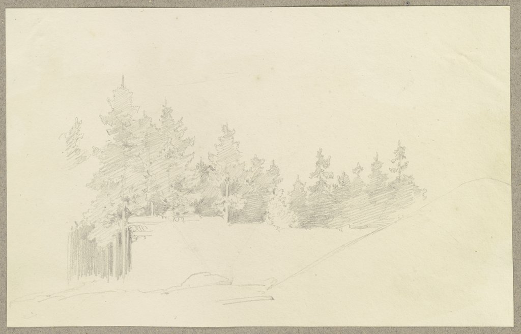Holzstoß (?) am Rand eines Nadelwaldes, Carl Theodor Reiffenstein