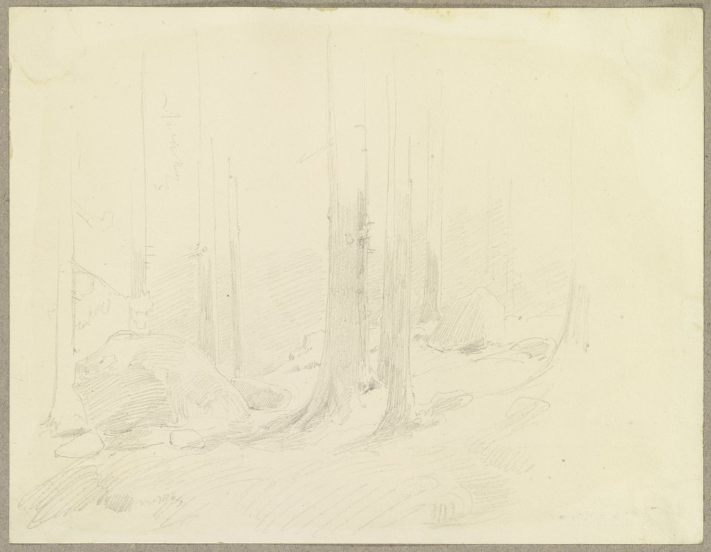 Blick in einen Wald, am Boden große Steine, Carl Theodor Reiffenstein