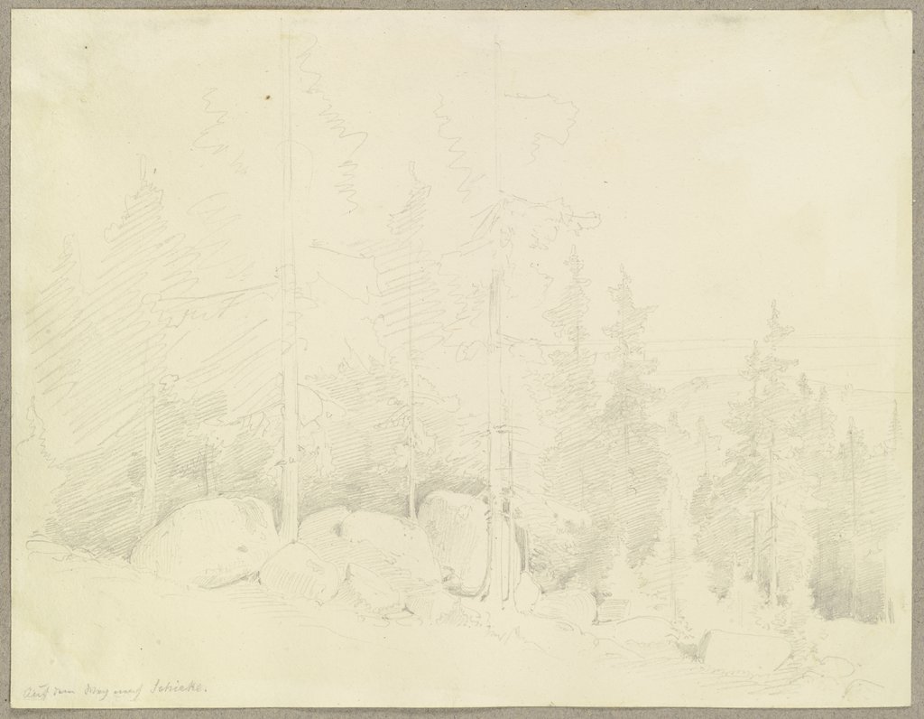 Nadelwald bei Schierke im Harz, zwischen den Bäumen große Steine, Carl Theodor Reiffenstein
