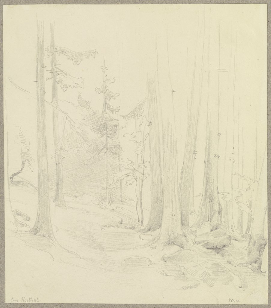 Waldstück im Ilsetal im Harz, Carl Theodor Reiffenstein