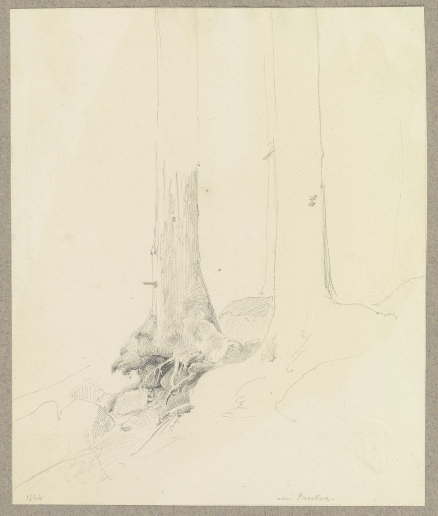 Bäume am Hang, der linke Baum mit freiliegenden Wurzeln, Carl Theodor Reiffenstein