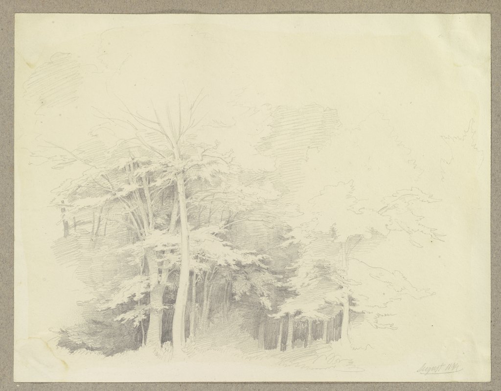 Wald, Carl Theodor Reiffenstein