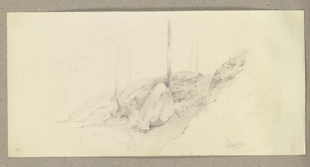Gesteinsbrocken in einem Waldstück, Carl Theodor Reiffenstein