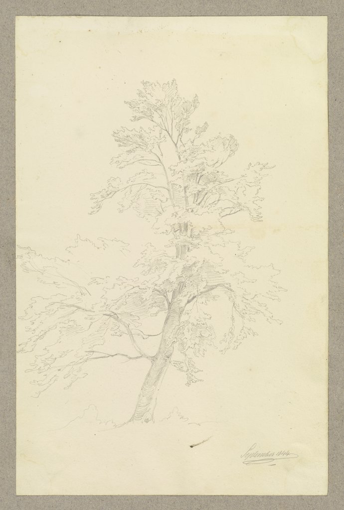 Baum, Carl Theodor Reiffenstein