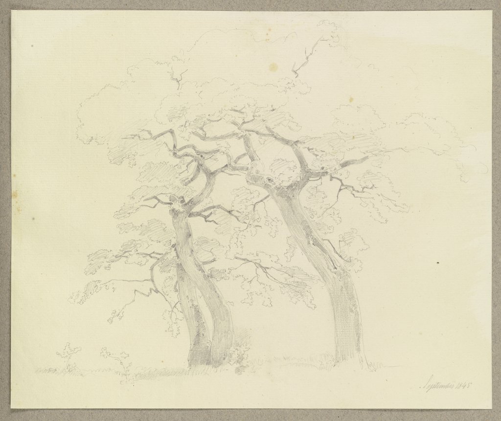 Three trees, Carl Theodor Reiffenstein