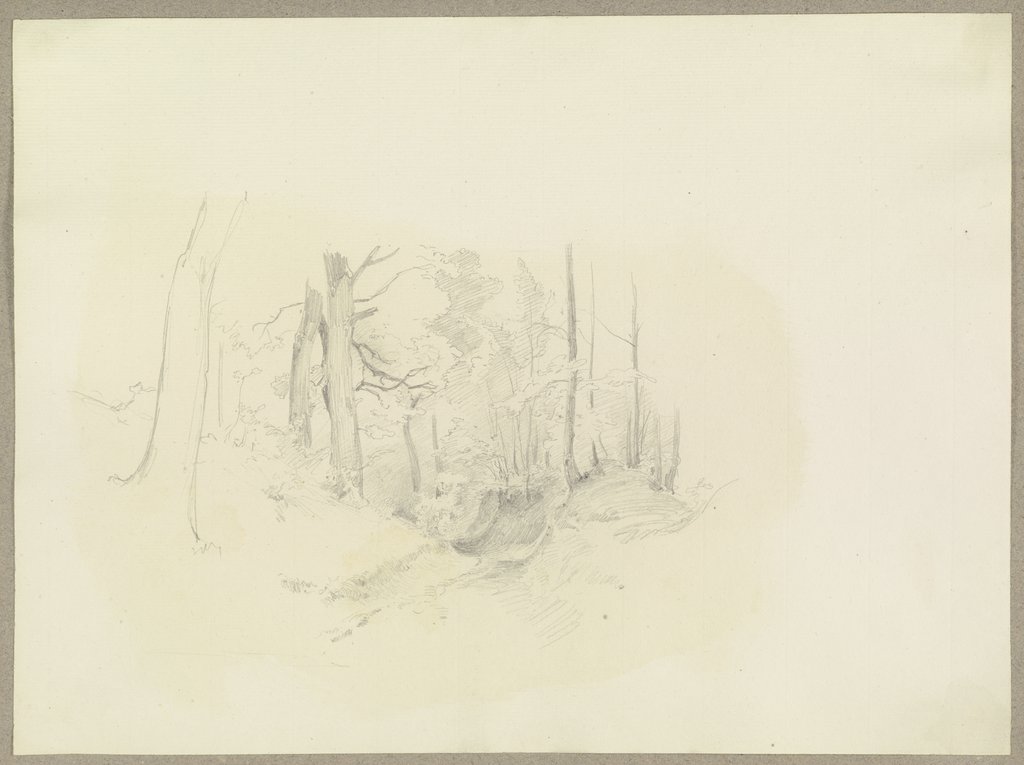Forest section with hollow path, Carl Theodor Reiffenstein