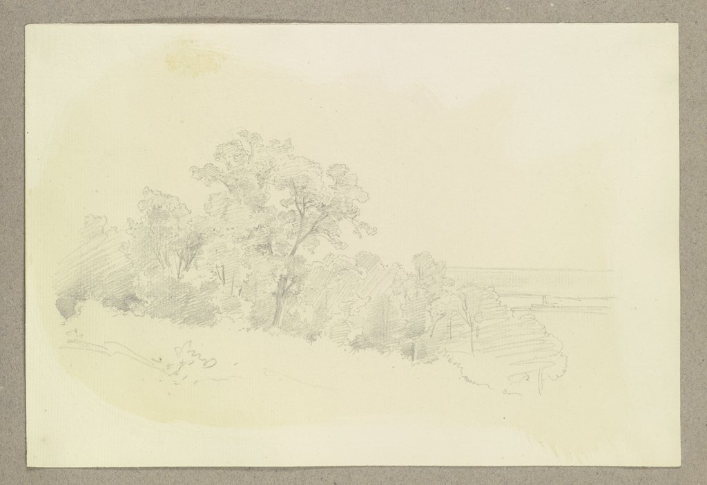 Tree-covered grove, Carl Theodor Reiffenstein