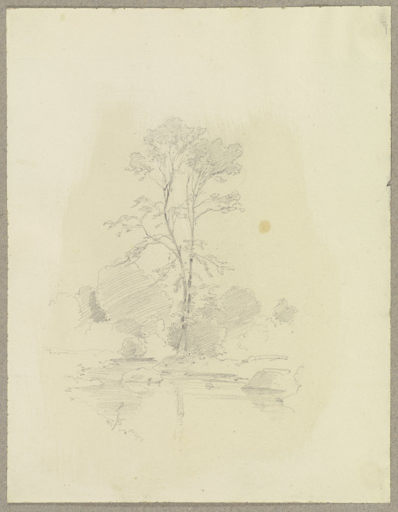 Baum an einem Gewässer, Carl Theodor Reiffenstein
