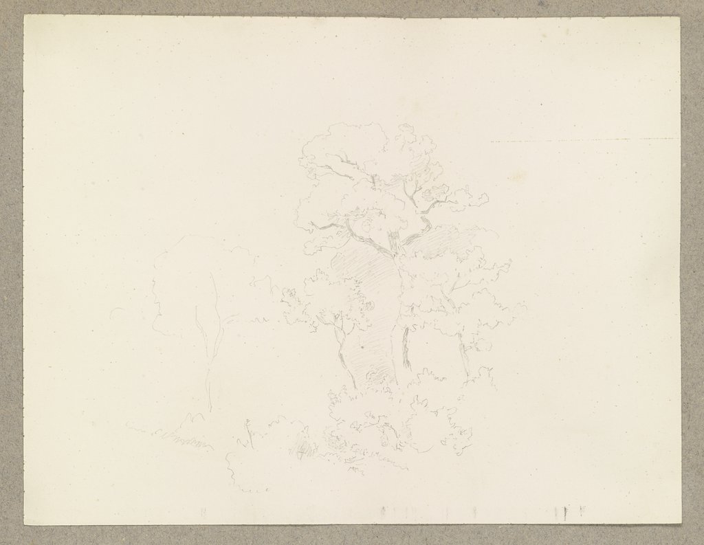 Bäume, Carl Theodor Reiffenstein