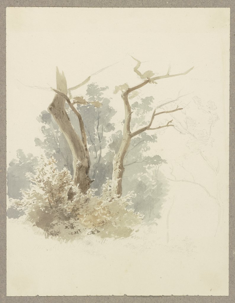 Waldpartie, im Vordergrund ein Baumpaar, Carl Theodor Reiffenstein