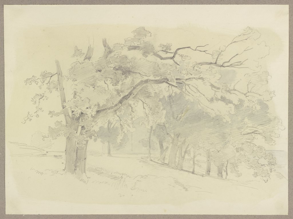 Bäume an einem Hang, Carl Theodor Reiffenstein