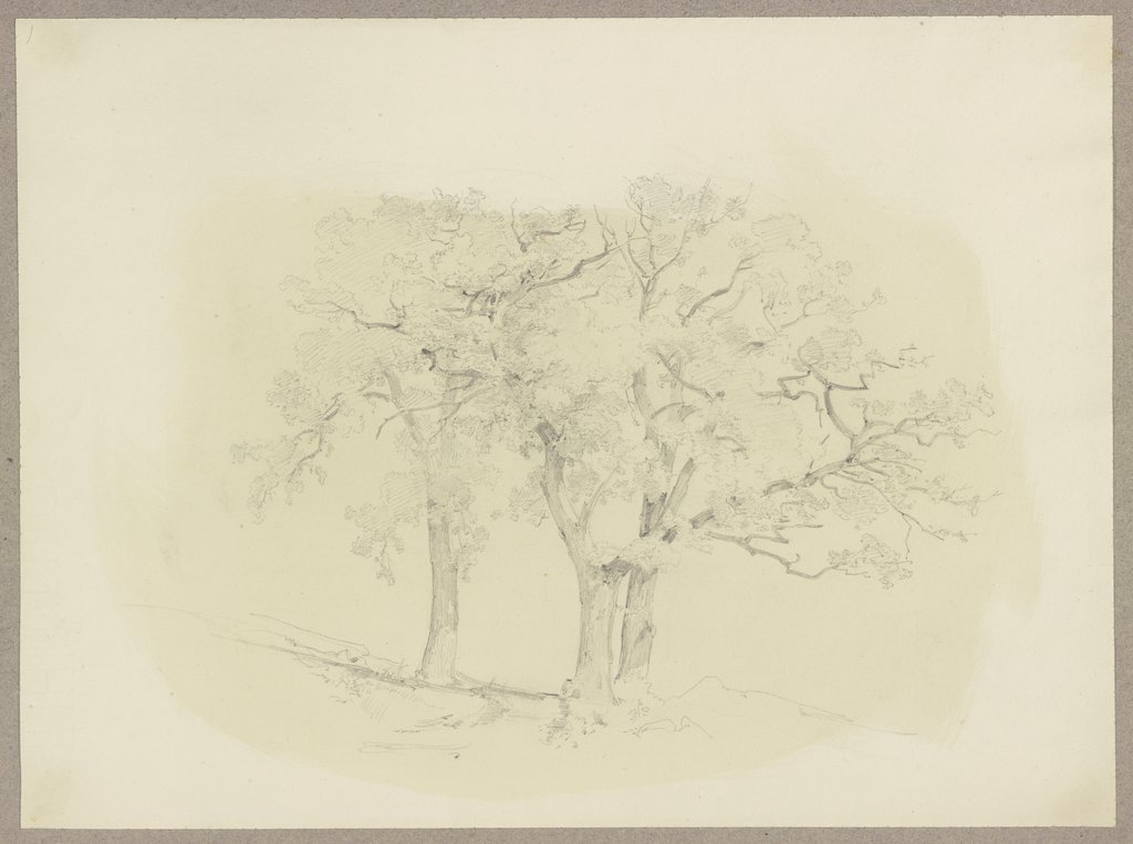 Group of trees, Carl Theodor Reiffenstein