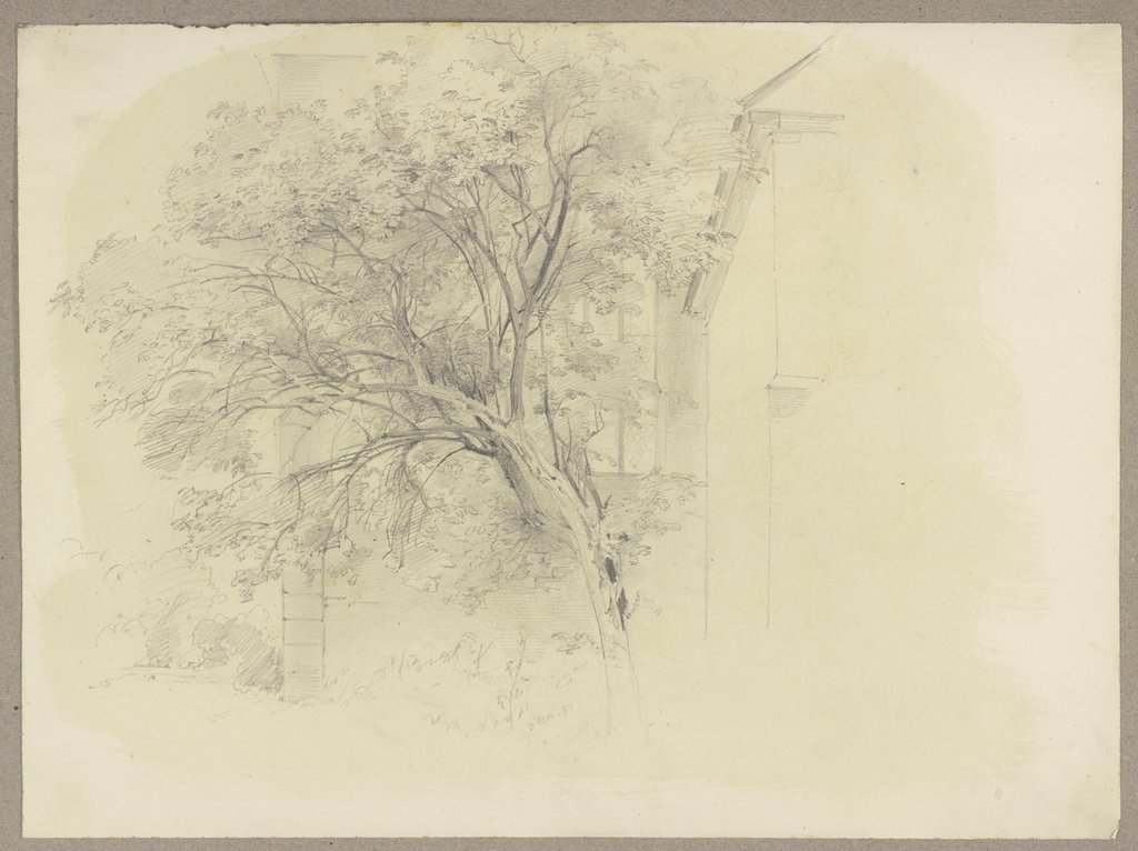 Baum, dahinter eine Kirche, Carl Theodor Reiffenstein