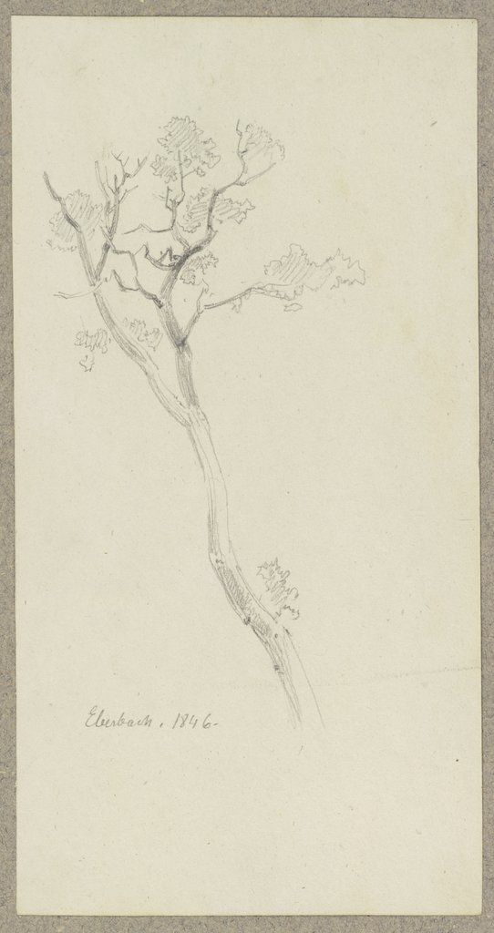 Young tree near Eberbach, Carl Theodor Reiffenstein