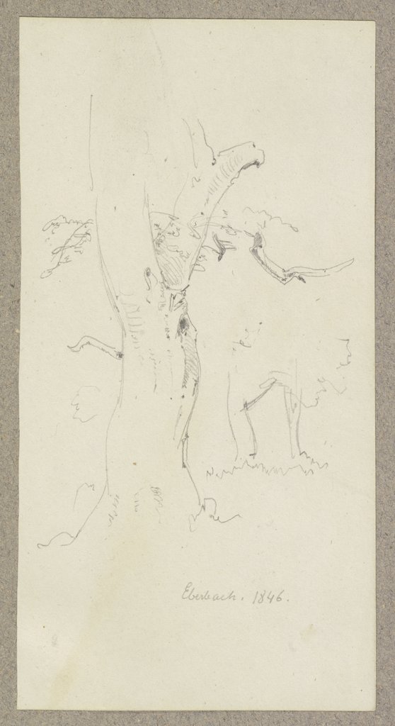 Baum bei Eberbach, Carl Theodor Reiffenstein