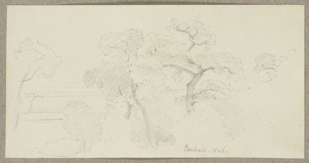 Tree tops near Eberbach, Carl Theodor Reiffenstein