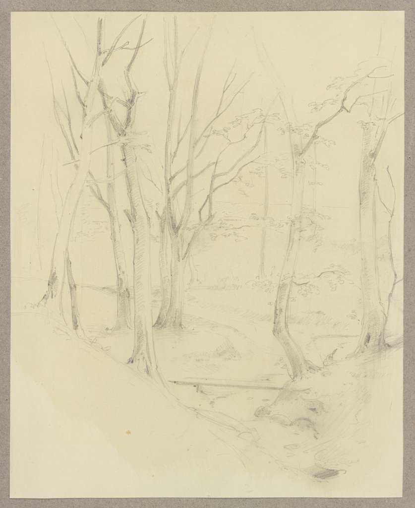 Von Bäumen umstandener Bachlauf mit einem Steg, Carl Theodor Reiffenstein