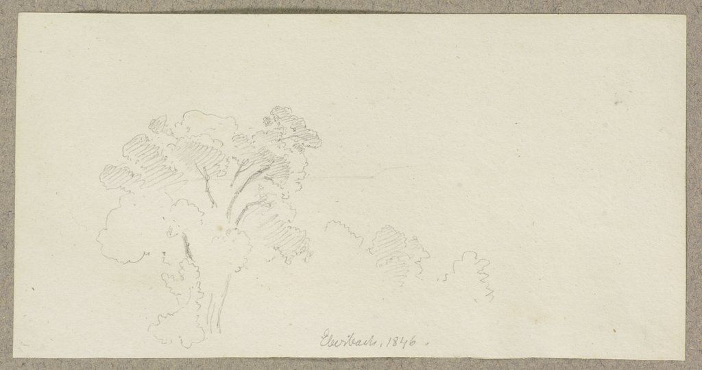 Tree tops near Eberbach, Carl Theodor Reiffenstein