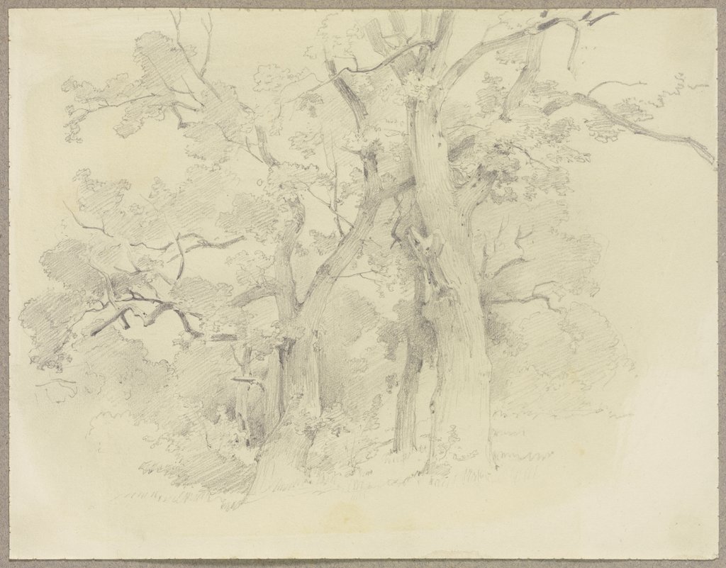 Waldpartie, Carl Theodor Reiffenstein